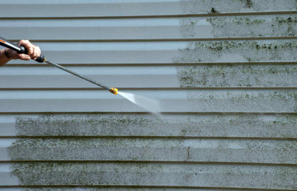 Best Solar Panel Cleaning  in Moundville, AL